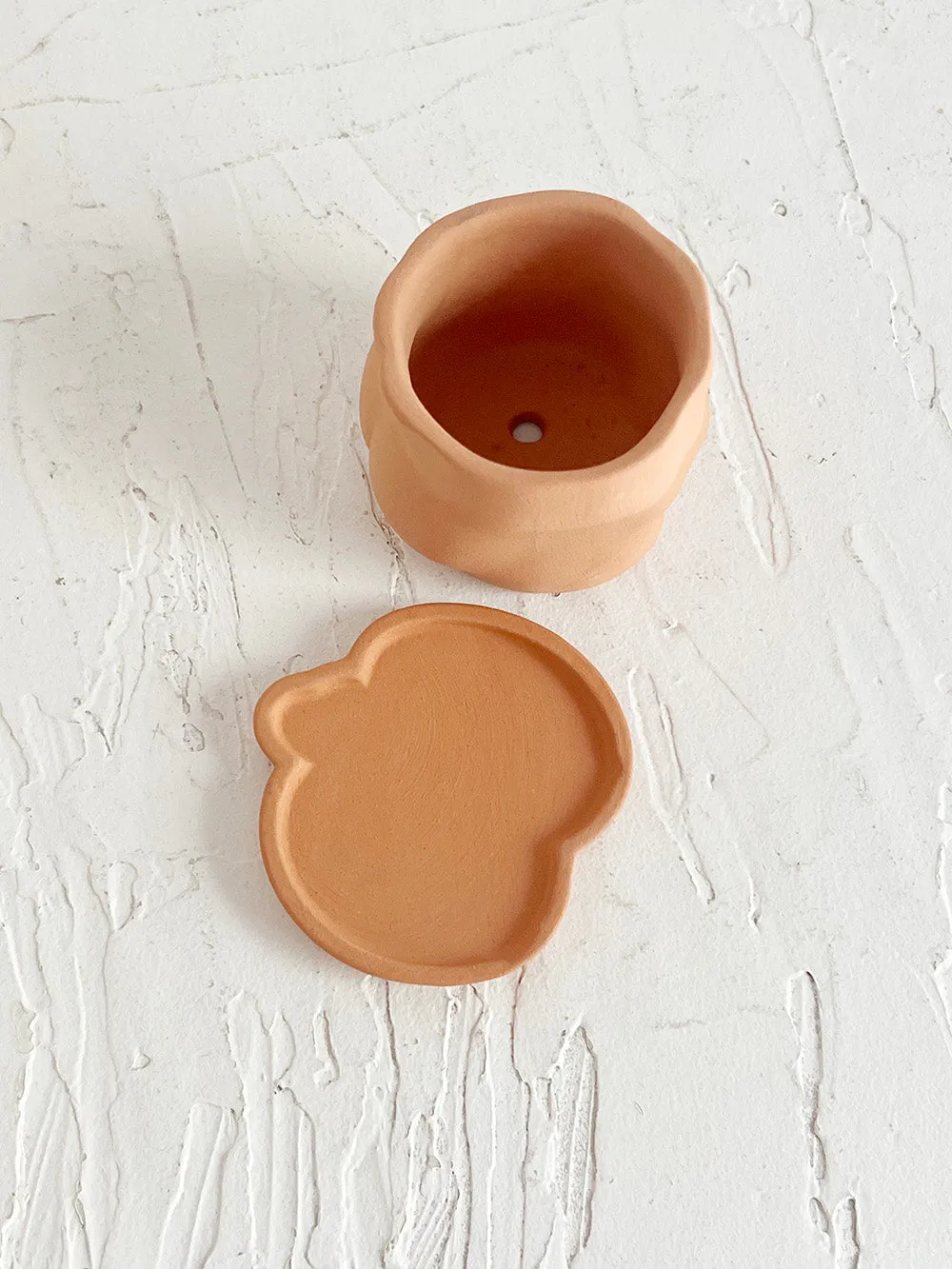 2.5 Terra-Cotta Mini Butt Pot