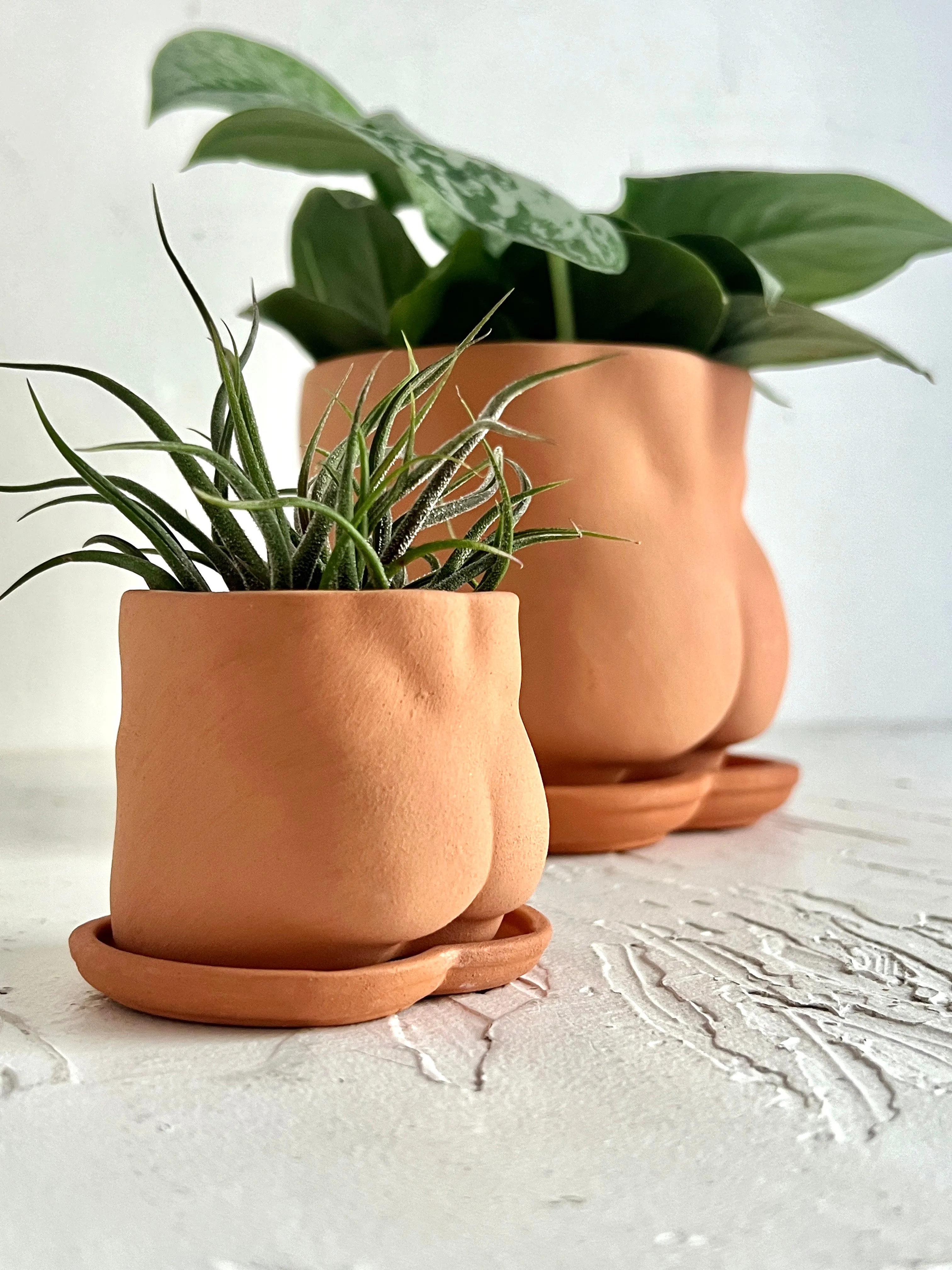 2.5 Terra-Cotta Mini Butt Pot