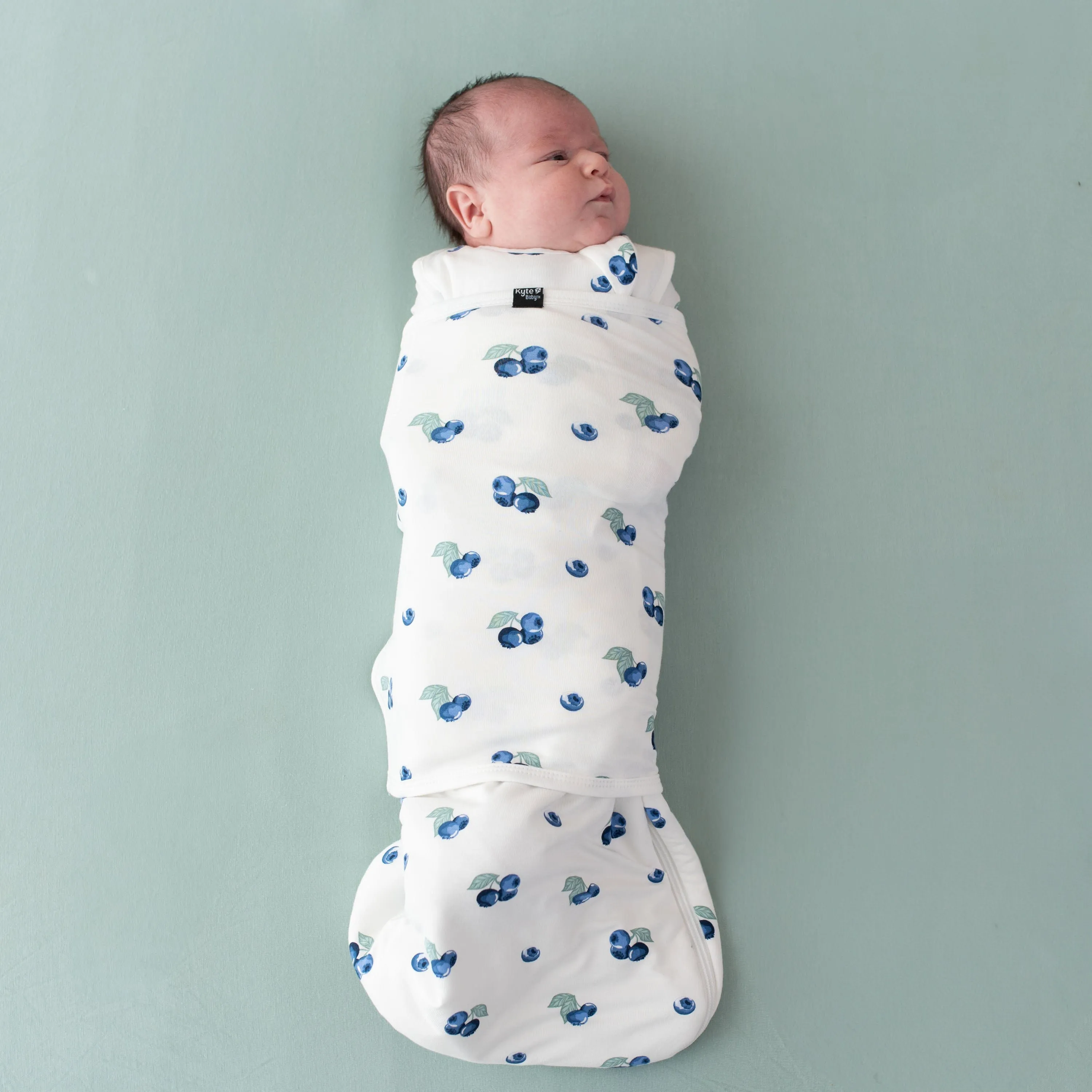 Sleep Bag Swaddler in Blueberry