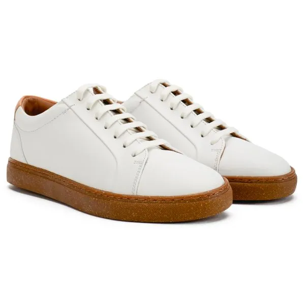 Ted Baker Udamou Trainers