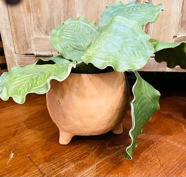 TERRA COTTA FLOWER POT